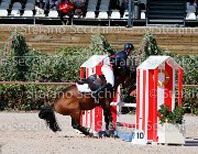 Apolloni Baby Arko GioCav2013 S5 1907 : Apolloni Gianluca, Baby Arko, Campionati Italiani Giovani Cavalli, Cattolica, ph Stefano Secchi ©